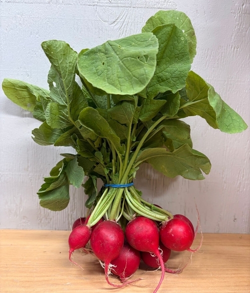 Radish Red Bunch (LOCAL)